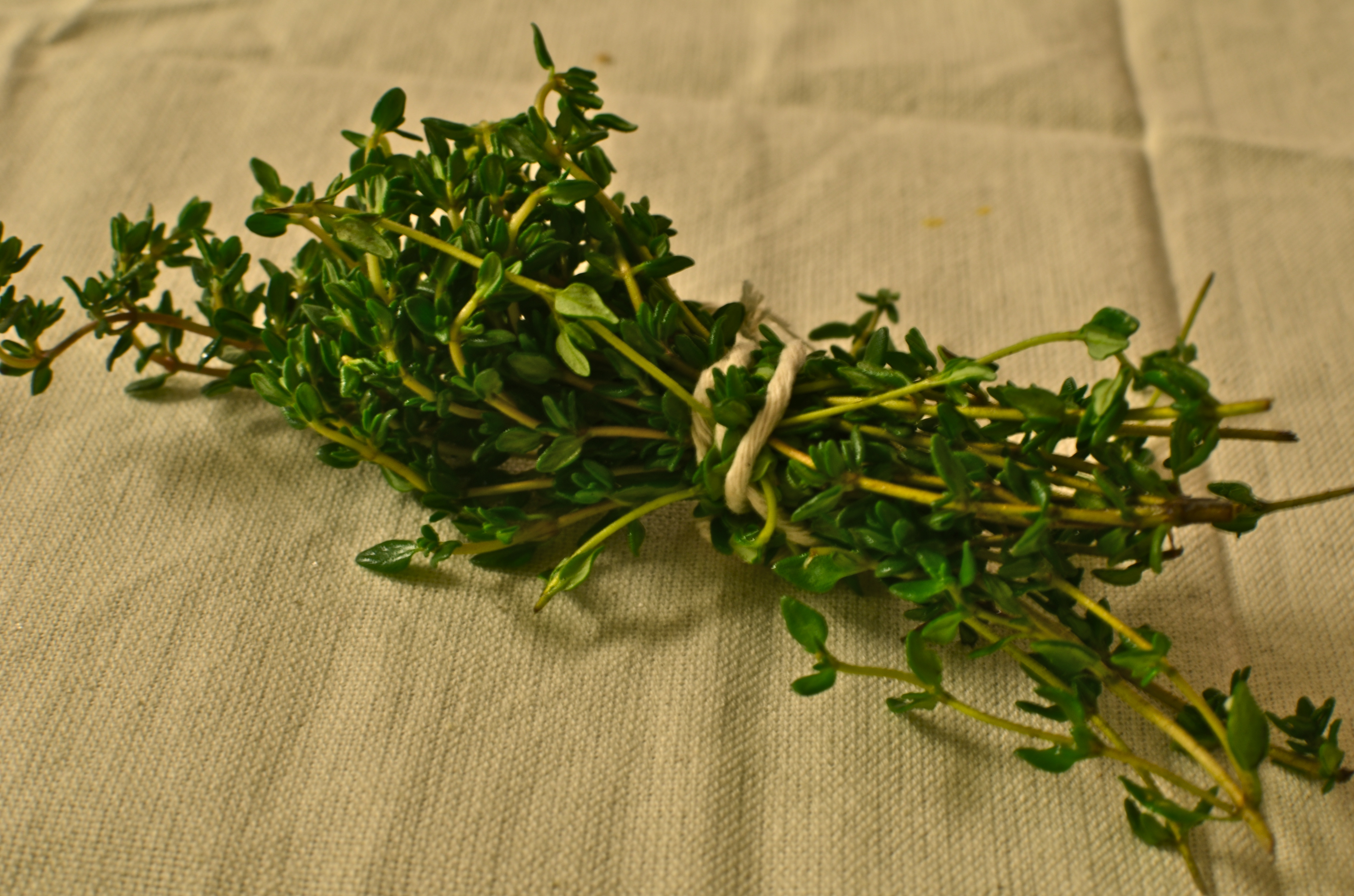 Thyme bundle