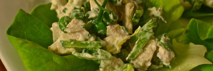 mayo-less chicken salad, no mayo chicken salad, chicken salad without mayo